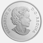 2017 Canada  20 Silver Coin Under The Sea   Sea Turtle Proof Ogp Rcm