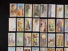 Wills Cigarette Cards Do You Know 2nd Series 1924 Complete Set 50