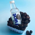 Hint Blackberry Flavored Water  16 Fl Oz  6 Pack Plastic Bottles