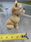 1970s Boxer Dog Coin Bank Creative Manufacturing 6  Plastic Mold Stopper Vintage