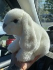 Animal Alley White Bunny Rabbit Plush Toys R Us 2017 Gray Nose Lop Ear 10  Rare