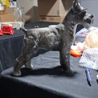 Schnauzer Dog Figurine Ceramic porcelain Glossy Statue Figure Black Gray