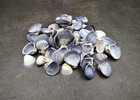 Purple Violet Clam Seashell Halves  approx  Half Cup   -50 Shells 0 75  Inches 