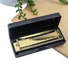 Harmonica Key Of C 10-hole Chromatic Harmonica With Case   Beginner Music Instru