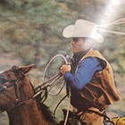 Vtg 1981 Marlboro Man Cowboy Horse Cigarette Tobacco Metal Tin Sign 21x17 