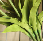 Artificial Tulip Flowers With Real Touch Feel - Pack Of 10 Stems