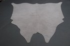 100  New Cowhide Rugs Area Cow Skin Leather  56  X 53   Cow Hide Sa-205