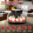 12 Egg Incubator for Chicken Eggs With Humidity Display Fully Automatic Chicken