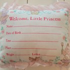 Care Bears Baby Welcome Little Princess Pillow Announcement Shower Gift