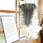 Long Peacock Feathers Bulk- 25pcs 32-35 Inches Feathers For Vase  Holiday Decora