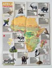 Vintage 1990 National Geographic Map Africa Threatened Endangered Species