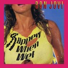 Bon Jovi Slippery When Wet Alternate Banner 2x2 Ft Fabric Poster Flag Album Art