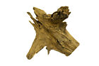 Decorative Teak Wood Root Sculpture Terrarium Decoration Wooden Decor