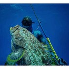 Neritic Blue Bantam Aluminum Roller Pole Spear Package - 10 Foot