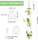 Wall Hanging Propagation Station   3 Tiers Star Shaped Glass Flower