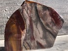 Fantasy Jasper Slab - Mexico 6 25 x4 5  Jasper Agate Lapidary Rough Slab Cabbing