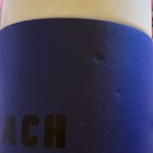 New Victoria s Secret Vs Pink Retro Insulated Water Bottle Blue Palm Tree Beach