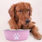 Large Capacity Pet Feeder Bowl Non-slip Stainless Steel Dog Bowl Dog Water Bowl