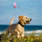 12  fake Dragonfly Clips Clip On Dragonfly For Outdoors 3d Dragonfly Garden Decor