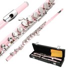 Ktaxon Pink School Band Student 16 Hole C Flute Set With Case   Accessories Gift