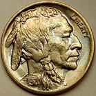 One-of-a-kind semi-key pristine Album Toned 1920 Buffalo Superb Gem Bu 5c  
