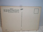 Vintage Arizona Uncirculated Postcard Ocotillo Plant