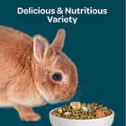  3 Pack  Kaytee Forti-diet Nature s Harvest Rabbit Food  5 Pounds