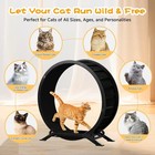 Cat Wheels  40  Diameter  Large Cat Exercise Wheel For Indoor Cats Cat Treadmill