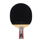  dhs Sports Usa  H5006 5 Star Table Tennis Racket Penhold Advanced Paddle W  Bag