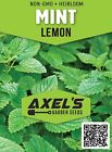 Lemon Mint Seeds   Non-gmo   Heirloom   Fresh Herb Garden Seeds
