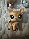 Littlest Pet Shop Lps Lot Of 5 Figures Panda Bunny Deer Monkey Husky Hasbro