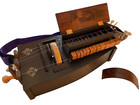 Gallopin Gurdies 2 Tone Hurdy Gurdy   Gigbag
