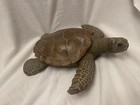 Animal Classics Sea Turtle Cc-126