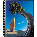 Itoya 11 7x16 5  A3 Size Polyglass Refill Pages For Art Profolio Multi-ring Bind