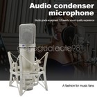 Professional Condenser Microphone Studio Audio Recording Metal Body Microphone