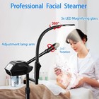 Professional Facial Steamer 2-in-1 5x Magnifying Lamp Spa Salon Home