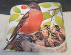 Rare Vintage The Bird Book A Golden Shaped Book 1971