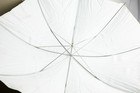 Profoto Lighting Umbrellas Medium White 41  With Carry Sleeve