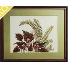 Vintage Crewel Embroidery Kit Mid Century Houseplant Begonias Ferns Marjorie Gos