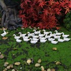 26 Pcs Duck Miniature Mini Resin Ornaments Kit - Fairy Garden Accessories - 