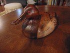 Rare Tom Taber Collection Canvasback Decoy