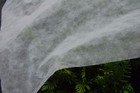 Ag-0 5 Floating Row Crop Cover   Frost Blanket   Garden Fabric - 6  X 50  Roll