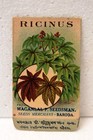 2 Vintage Ricinus Seed Packets Maganlal Baroda Castor Bean Garden Ephemera Old r