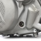 Engine For Zongshen 212cc zs 212cc Better Than Daytona 190cc Engine  free Kit
