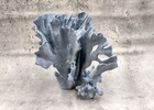 Blue Ridge Coral Cluster  1 Coral 8l X 7d X 7 5h In  Blue Coral Great For Decor 