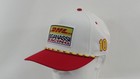 Alex Palou Snapback Hat  10 Dhl Chip Ganassi Racing Indycar Indy 500