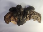 Folkmanis Plush Realistic Brown Bat Full Body Puppet Moveable Mouth  24 - New