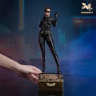 Catwoman Anne Hathaway Ver Brass Statue Figure Model Hand-paint Limited Edition