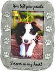 Pet Memorial Picture Frame Keepsake For Dog Or Cat  Perfect Loss Of Pet Gift For
