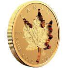 2021  2022   2023 Canada 2 Oz  Pure Gold Super Incuse Maple Leaf Ngc Pcgs Pr70